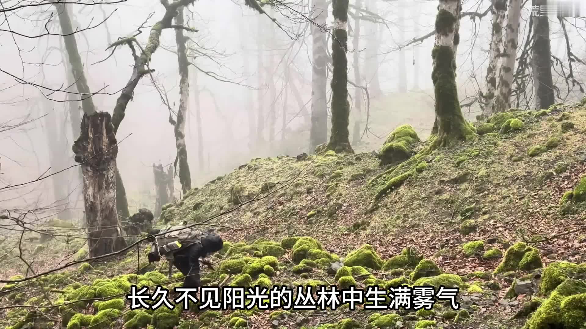 雪地建造 “在雨雪交错的峡谷丛林中生存，是一种什么样的体验” (1)