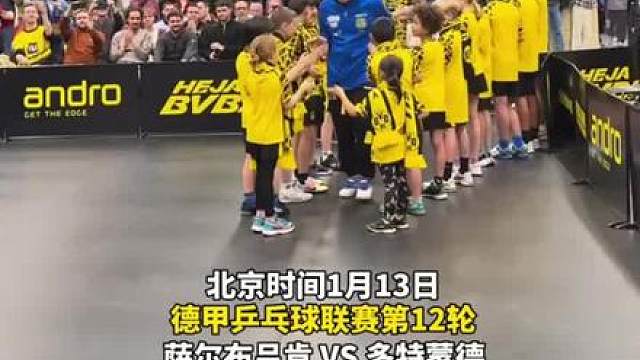 德甲萨尔布吕肯2-3憾负，樊振东再次一单两分！双方教练都是中国人