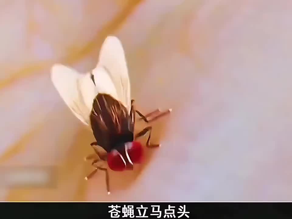 一滴眼泪划过女人的面庞