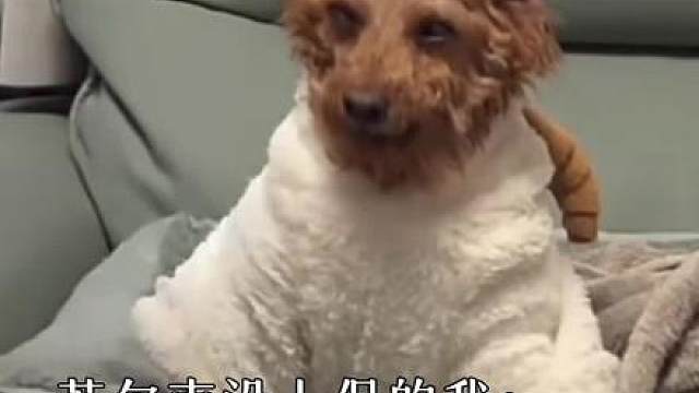 这一把将会很疯狂