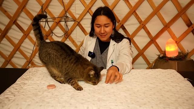 我发布了一个新视频，快来围观吧！