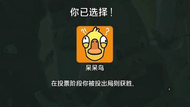 呆呆鸟的花语是什么？