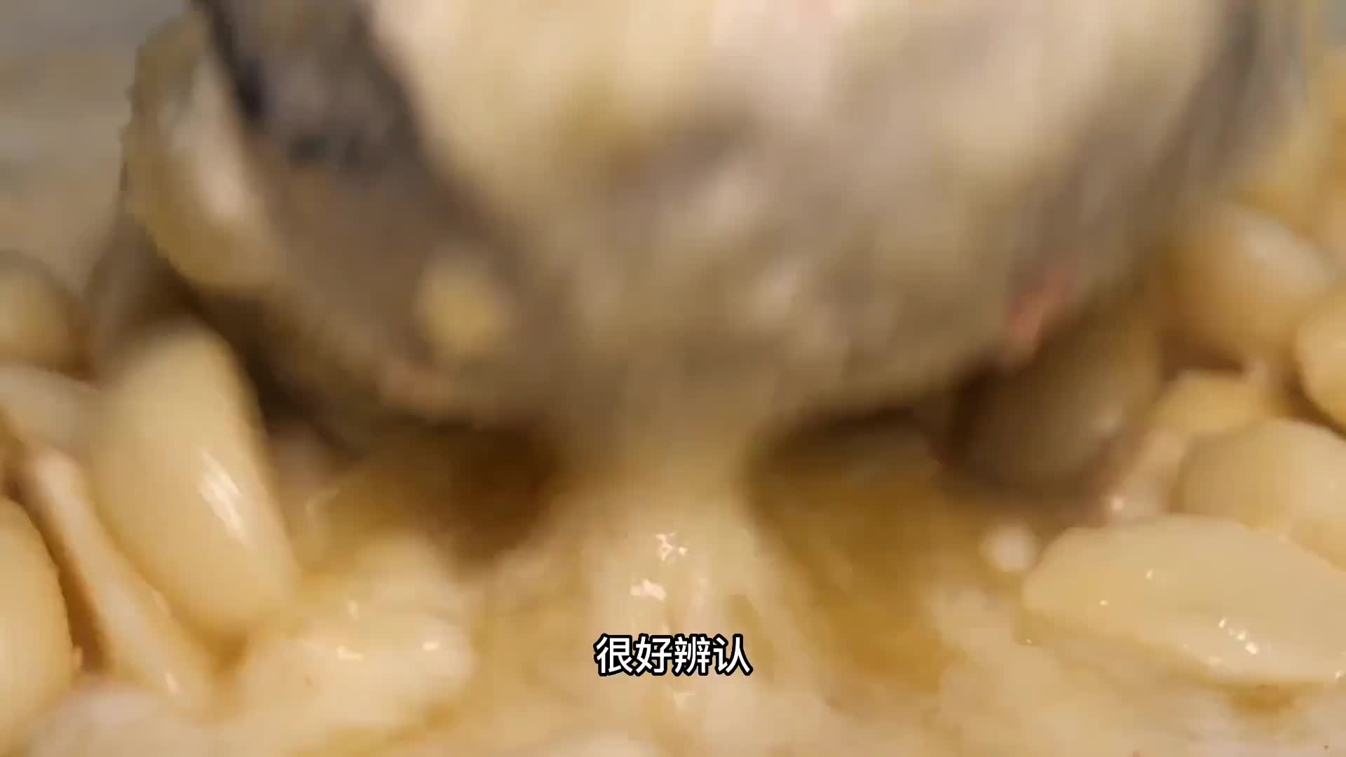 重口味美食，粉肠加大蒜