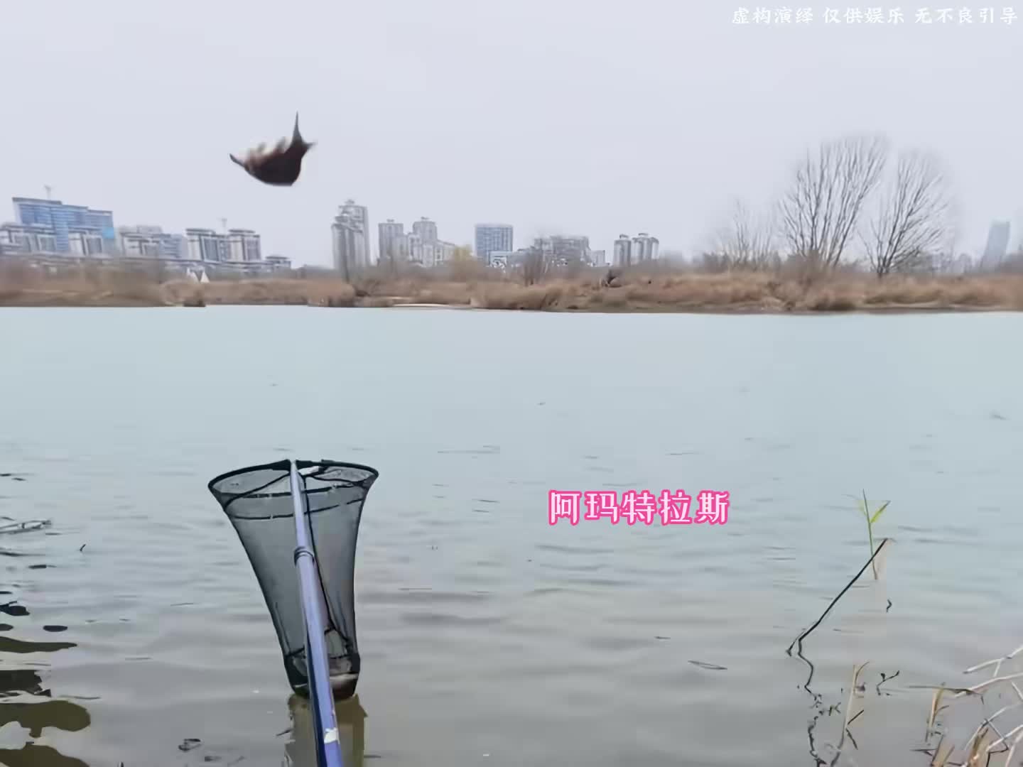 互联网的人才还是太多了 佐助教都给干出来了