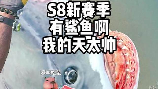 真的没想到居然会有鲨鱼，小心被吃掉啊！！！