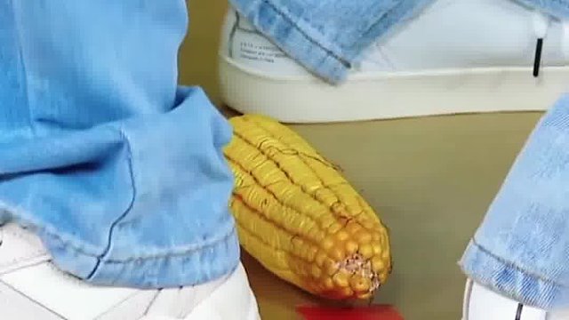 于洋一屁股给白鹿怼飞了哈哈