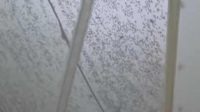 这时候出去是啥后果呢