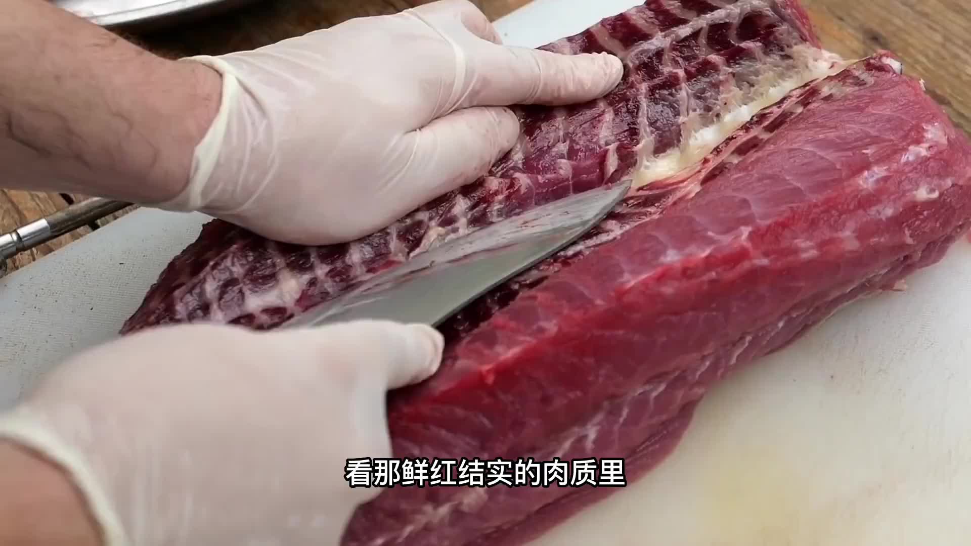 这种清道夫和鲶鱼的复合体