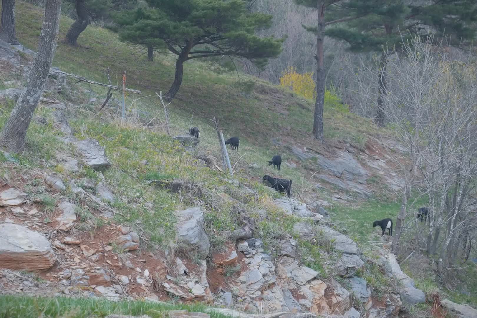 第2集：男人在野外露营生活，遭遇大暴雨，大小双帐篷住上好几天