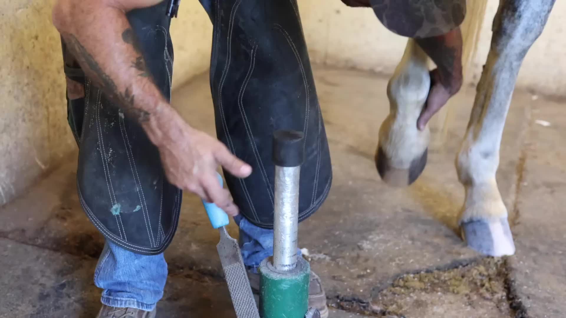 20260117 全面恢复-蹄铁匠 -奇怪的满足！