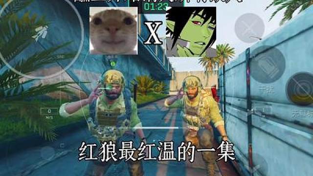 十斤玫瑰真的很红