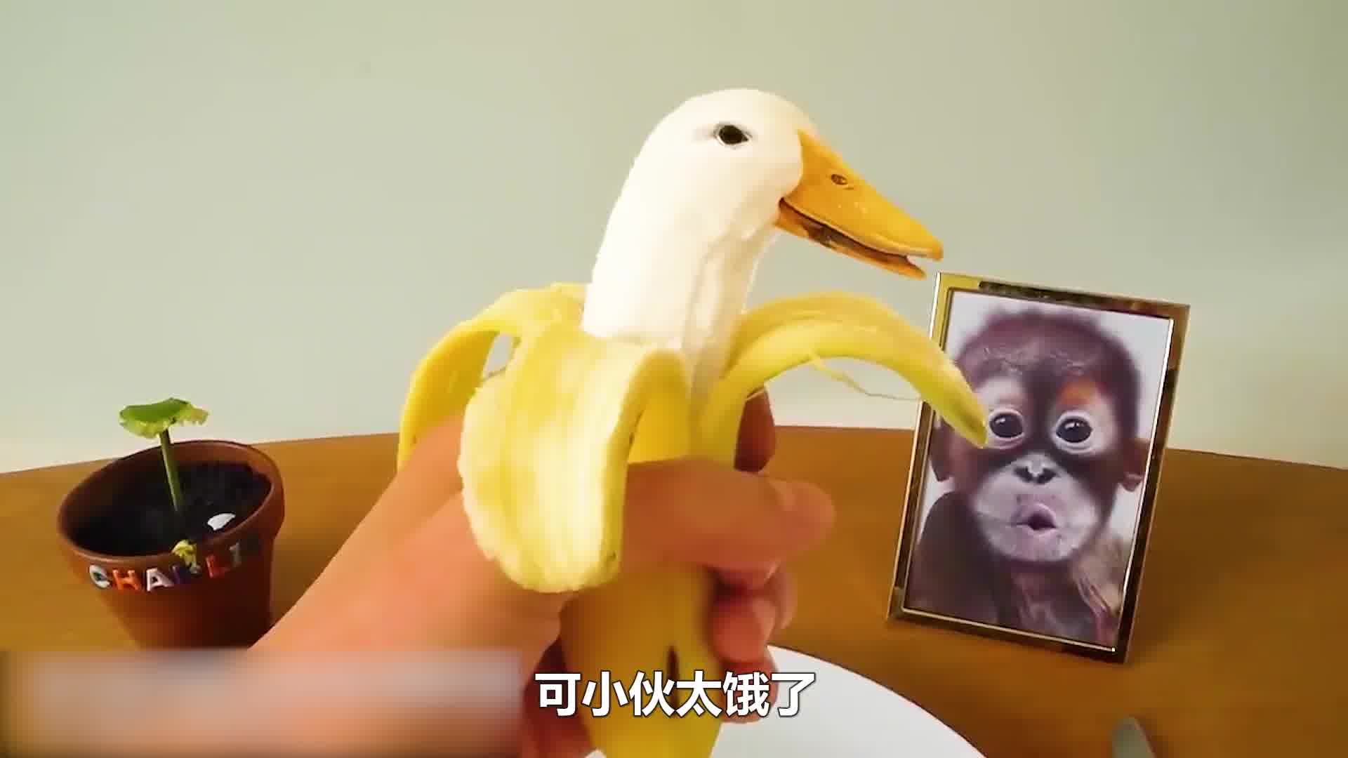 这样奇葩的香蕉，你敢吃吗