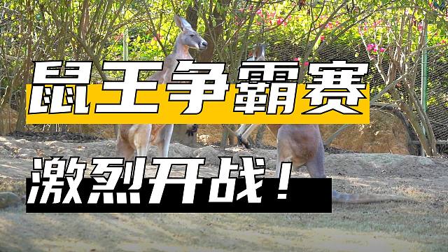 打着打着就燃起来了