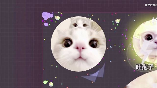 球球大作战霸屏挑战