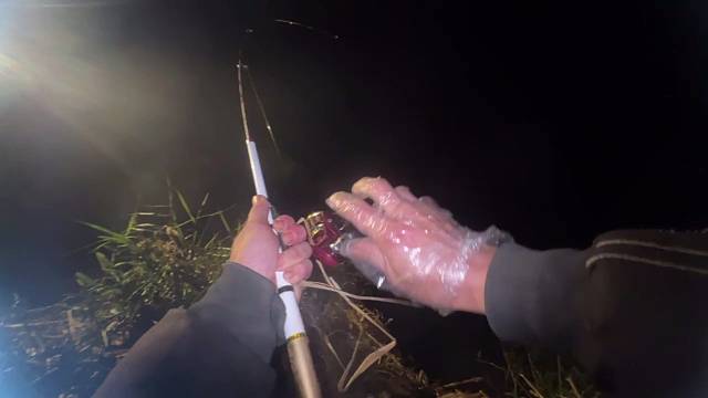 红鲤鱼与绿鲤鱼与驴