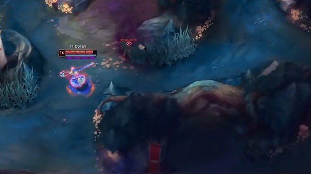 不是这多兰你是谁啊？