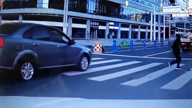 司机从开车门到看见狗的那几秒是地狱到人间的距离