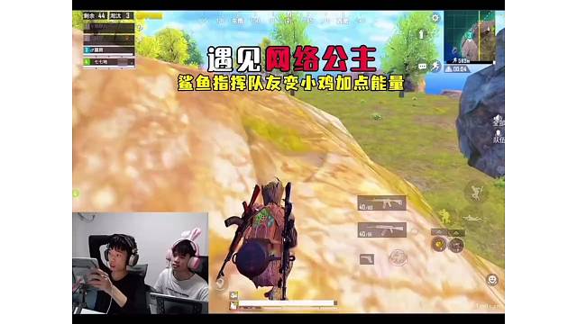 鲨鱼制裁网络公主