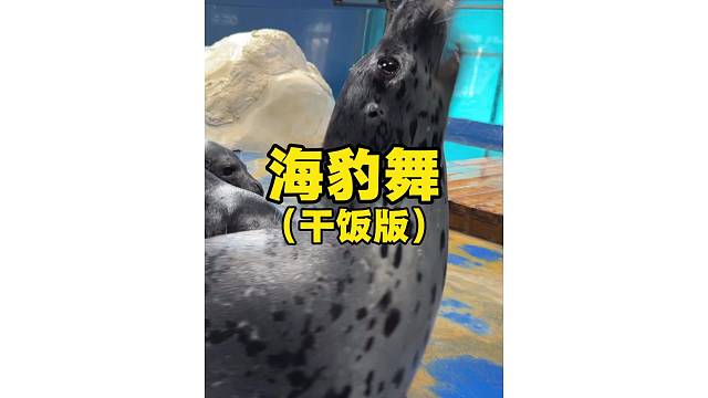海豹舞
干饭版