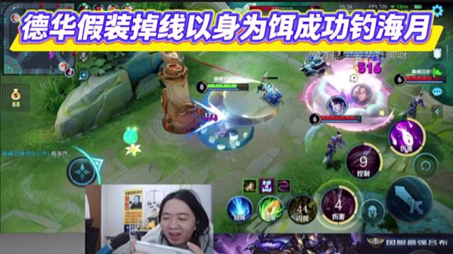 德华假装掉线以身为饵成功钓海月