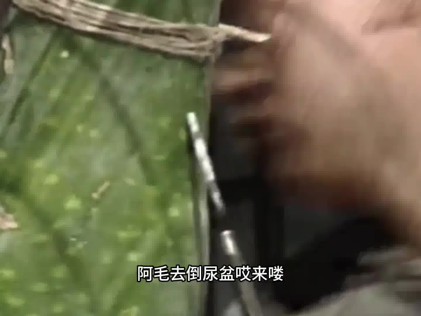 你这是把我的脑子当冬瓜了啊 最后这一下太丝滑了吧 哈哈