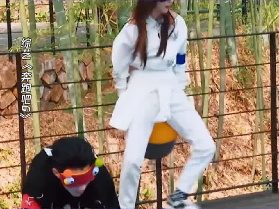 白鹿玩游戏抢凳子跟来批发似的