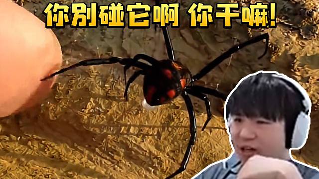 Letme看各国评选的十大毒王视频吓惨了：你别碰它啊 你干嘛！