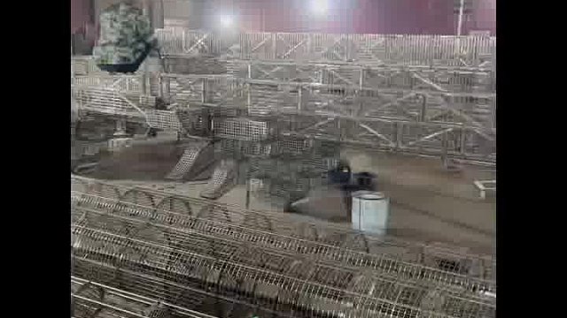 银丝古建是什么？