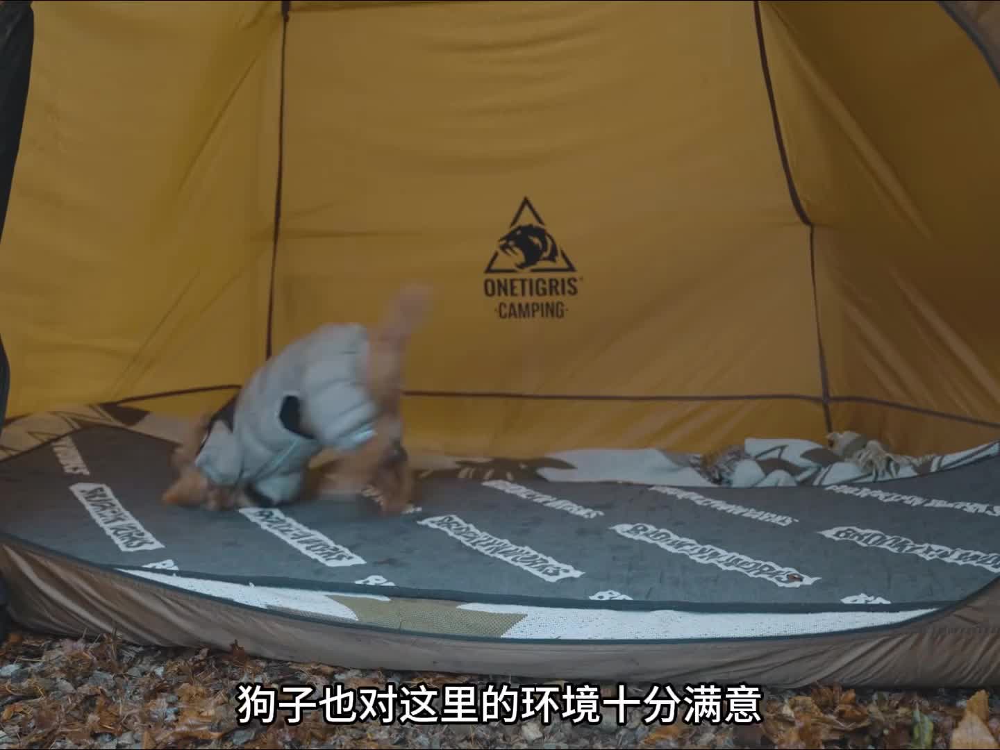 第1集：带着狗子在雪地冬日露营，独自搭建帐篷露营地，享受户外生活