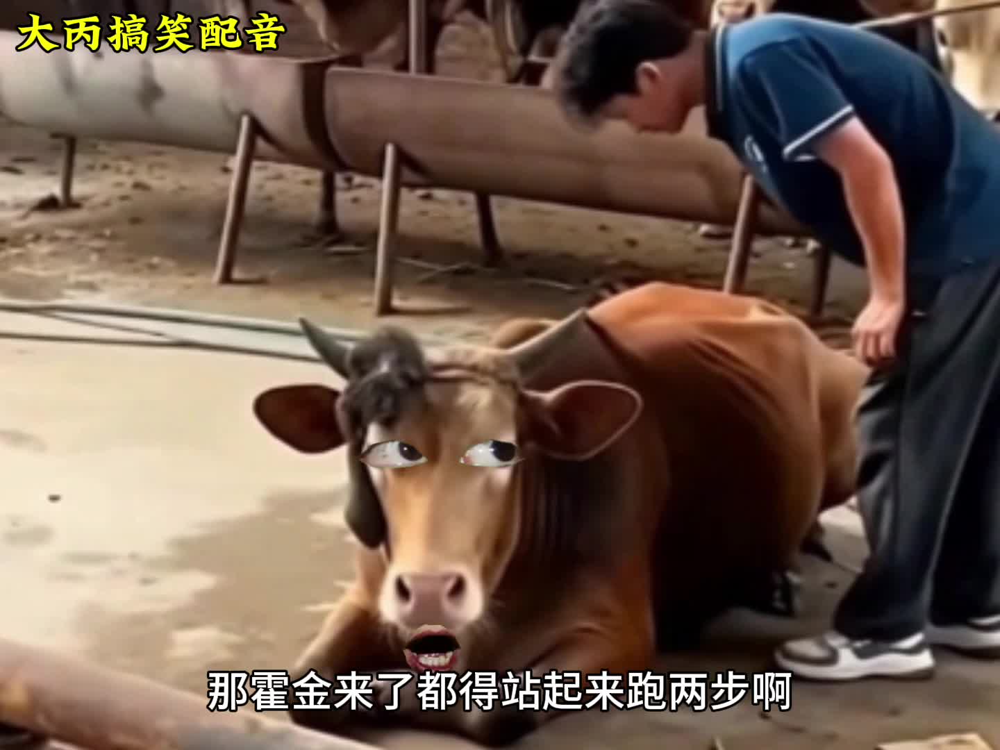 牛：我需要麻醉！