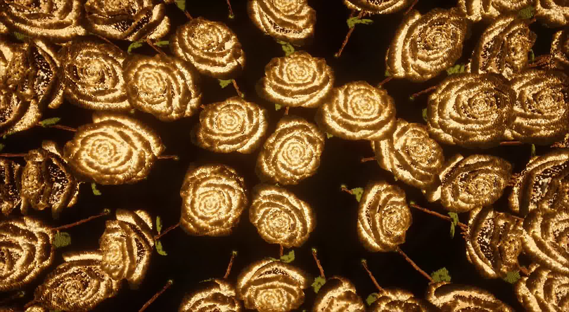 你说你喜欢金色玫瑰......