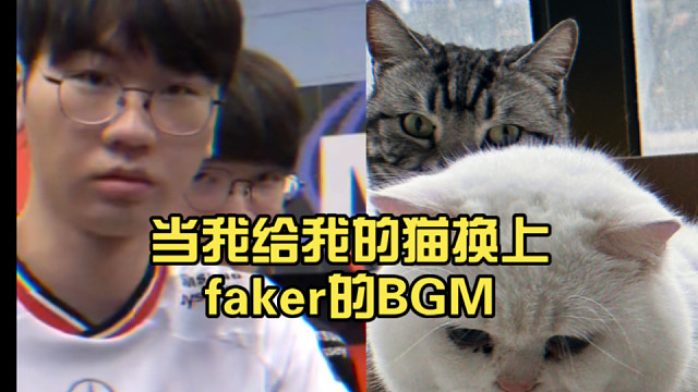 当我给我的猫换上大魔王Faker的BGM……