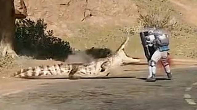 “剥蒜的情谊”49.0