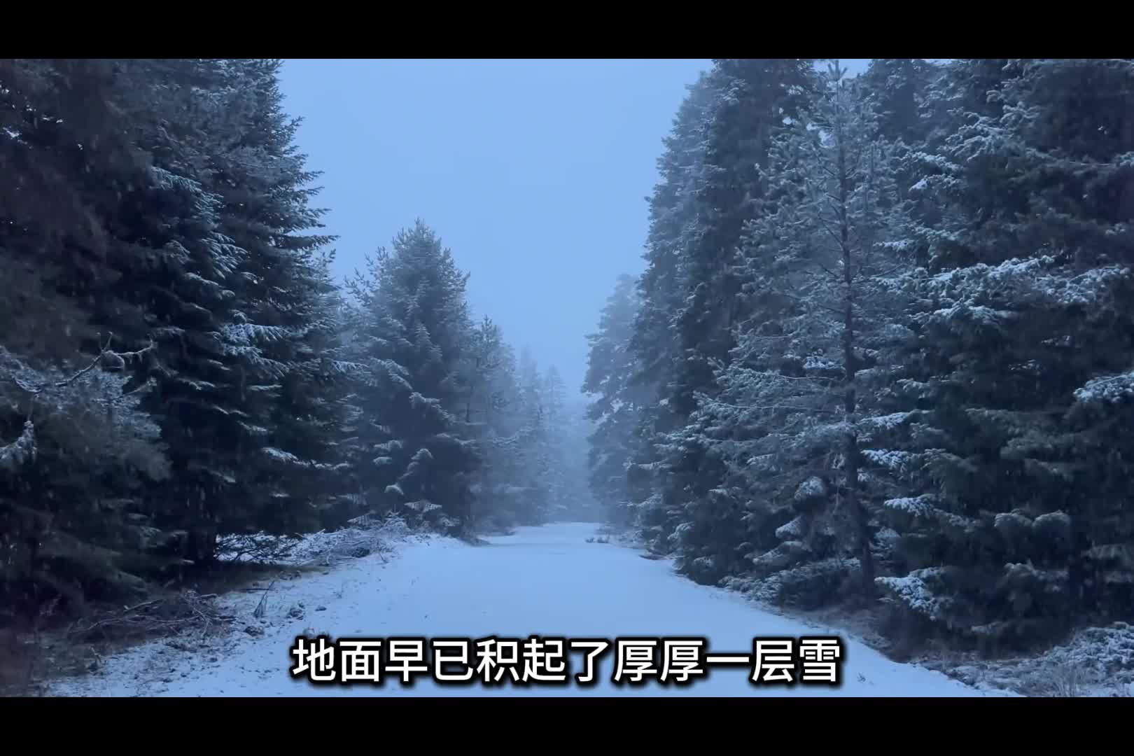 第2集：男人将货车改造成豪华房车，带妻子环球旅行，车到哪家就在哪