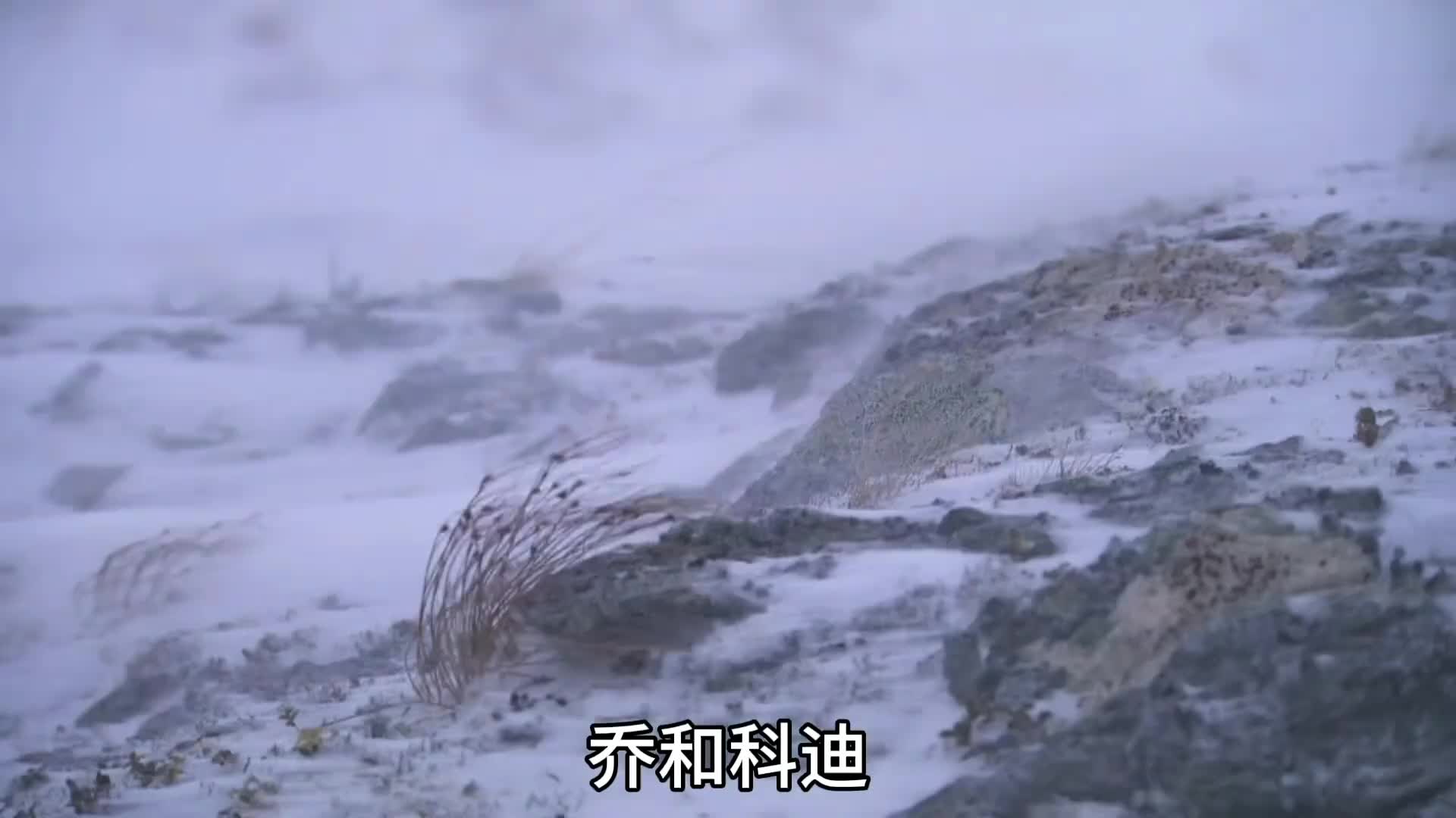 愿大家都能带着这份从冰原汲取的勇气，在人生的“荒野”中，始终保有向生而行的力量。 (3)