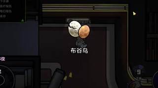 鵝鴨殺布谷鳥保姆級攻略！看完秒殺老手