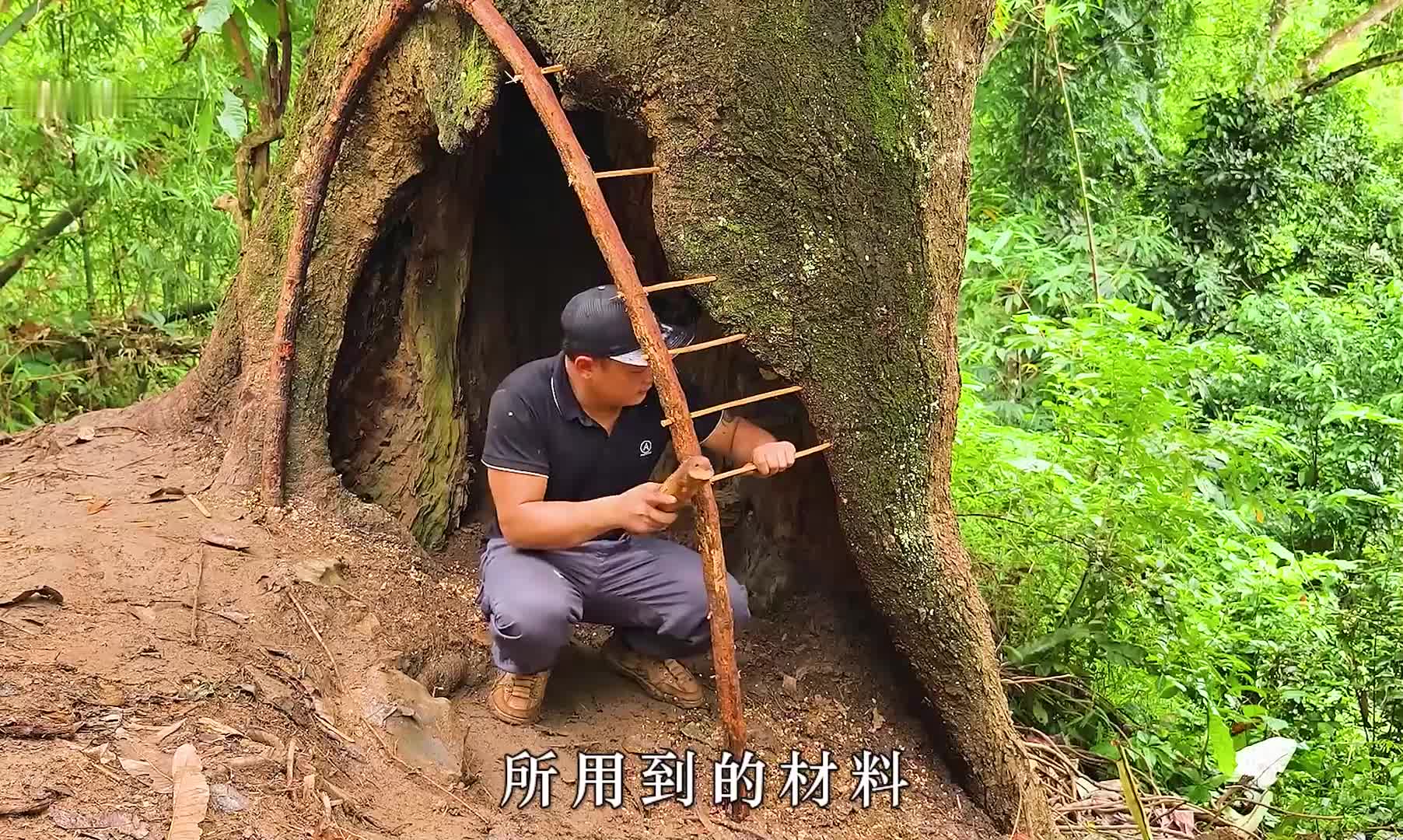 这个离地两米半的庇护所绝对能让安全感满满 (3)