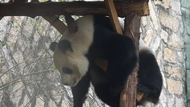 今日运动量已达标