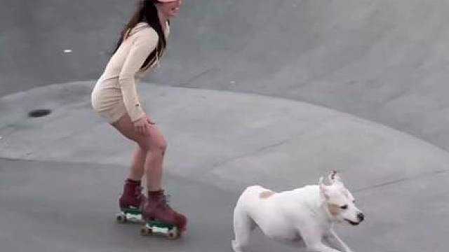 自由和快乐才是生活的最高旨意