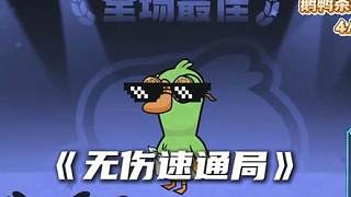 布谷鳥一個(gè)蛋不被踩怎么做到？ 這些下蛋的地方一般人發(fā)現(xiàn)不了！分享給你的鵝友一起玩布谷鳥吧！