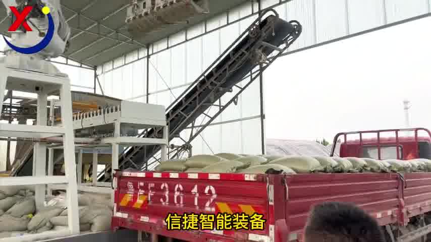 敬畏生命不做工作的奴隶，全自动装车机器人