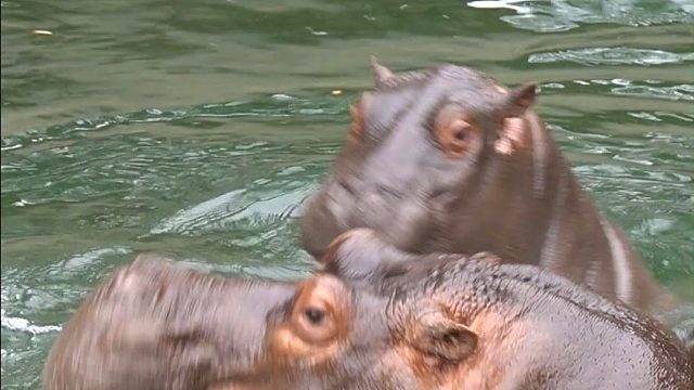 昏昏欲睡Vs精力充沛