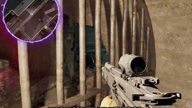 鼠鼠天塌了？！体验服鲨鱼得到史诗级加强！