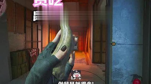 什么意思，言出法随？