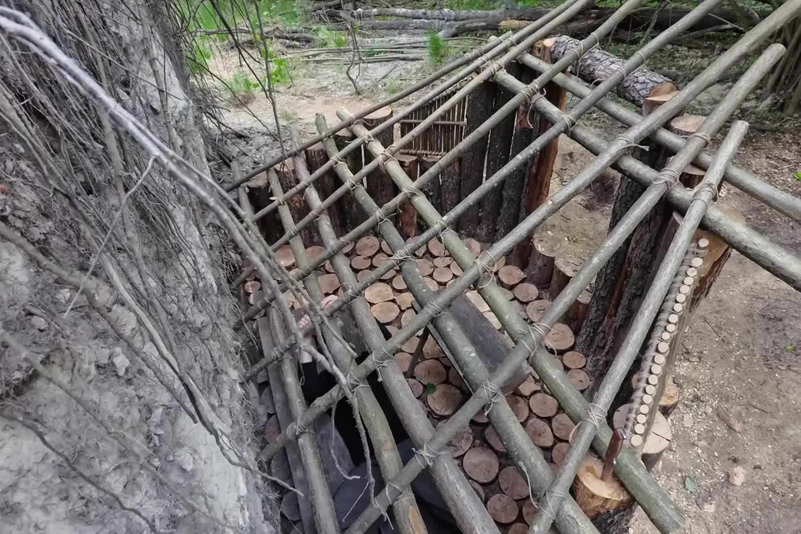 第2集：森林中利用大树搭建庇护所，建造野外露营地，树屋里过冬