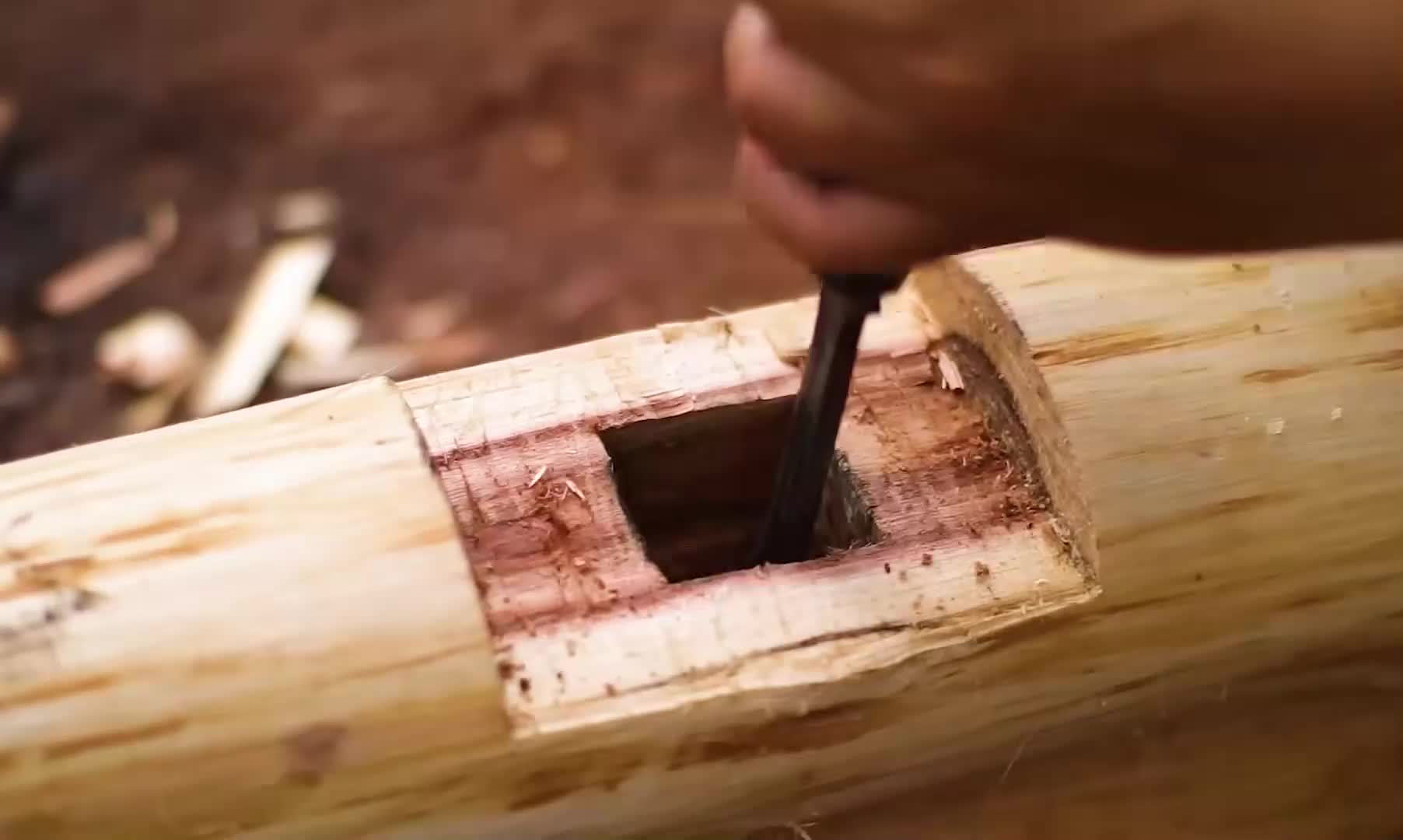 如果你在睡前刷到这条视频~~那我祝你美美进入梦乡哦~ (2)