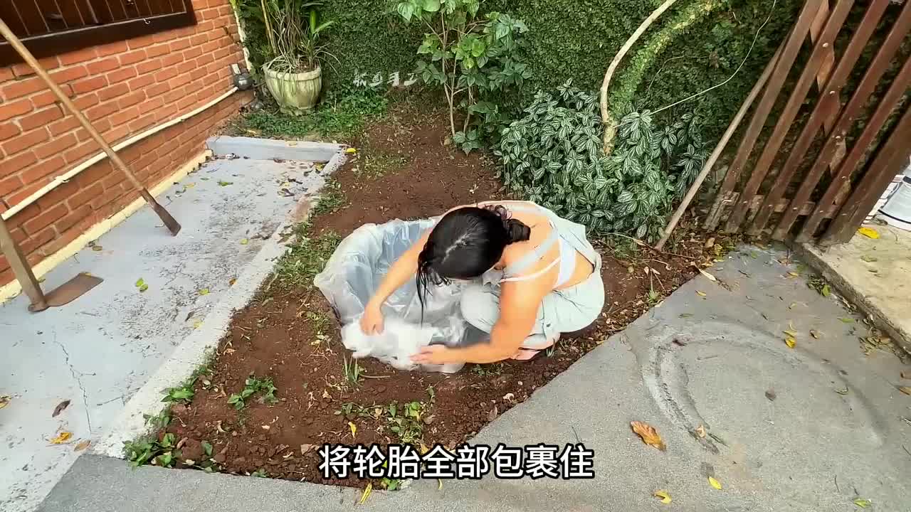 一个废旧轮胎就搭建出一座精美的庭院鱼池