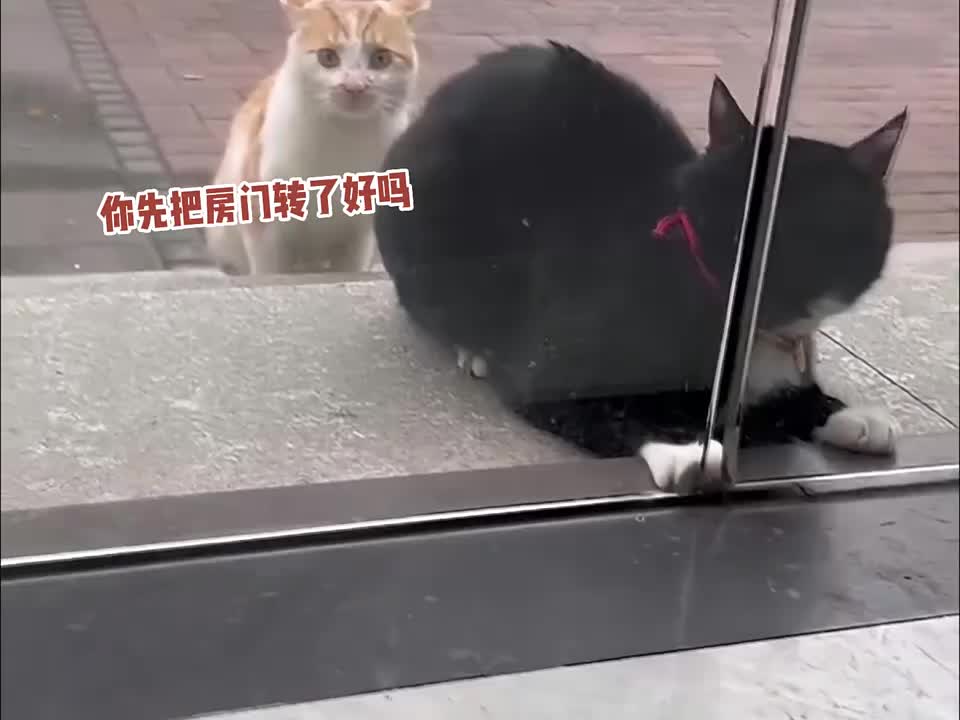 这到底是你家吗？