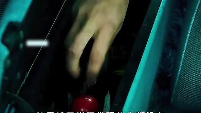 女人被一只恶犬袭击