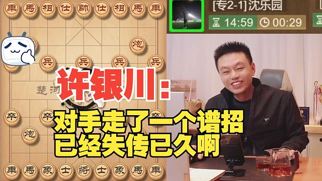 许银川：对手边下棋边打字，高手啊